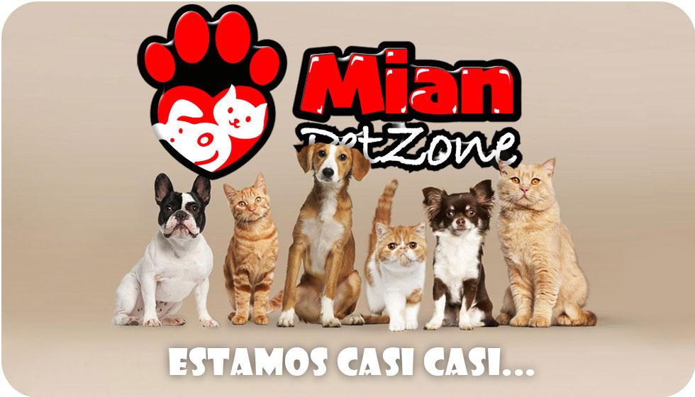 Tu sitio para tus regalones proximamente